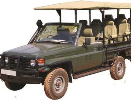 Safari Cruiser Open Game Drive