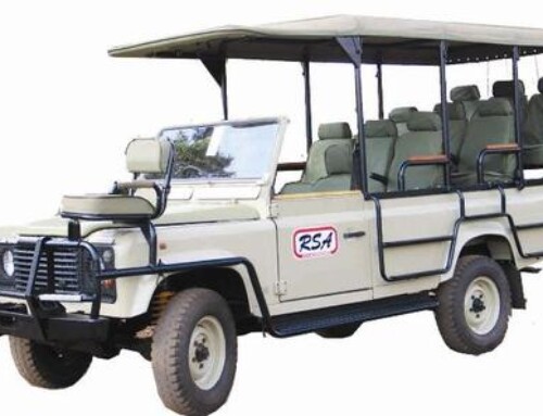 Safari Rover Open Game Drive 7X