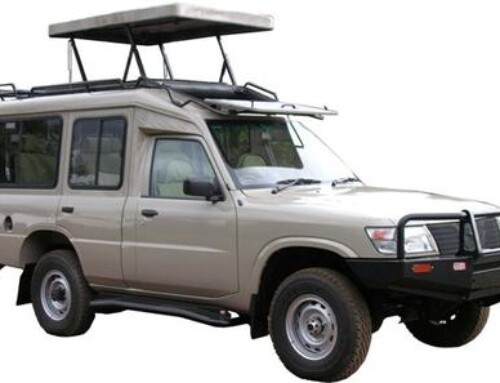 Safari Wagon N5X